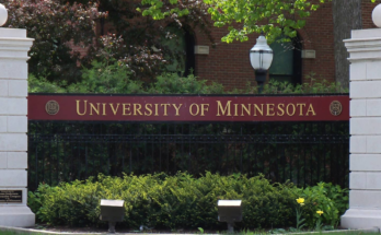 University of Minnesota Undergraduate Scholarships