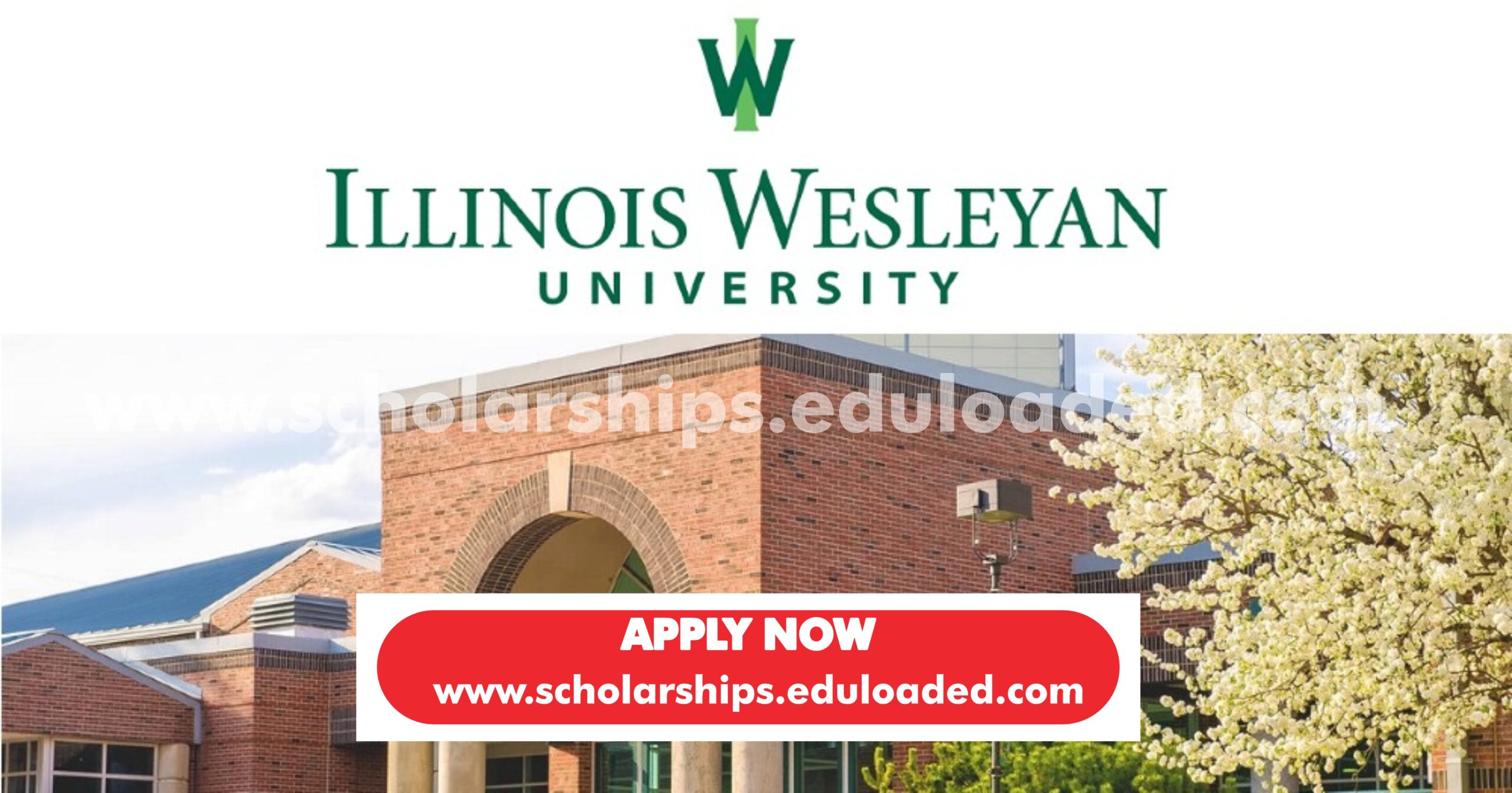 2024 Illinois Wesleyan University Scholarship in USA