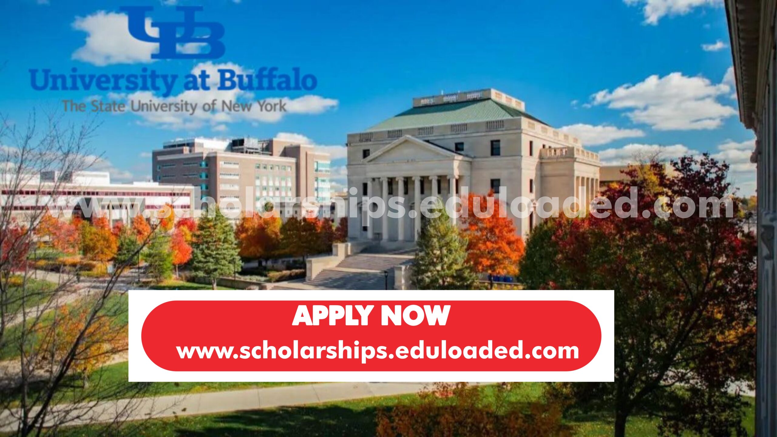 2025 University of Buffalo Scholarship in USA | Fully Funded