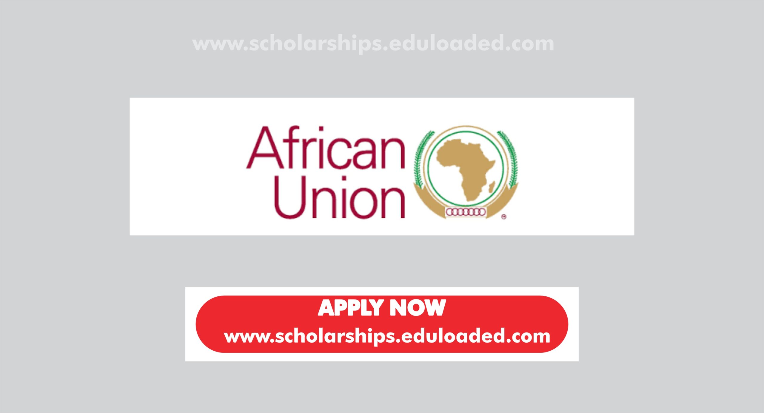 African Union Public Health Scholarship Programme 2025