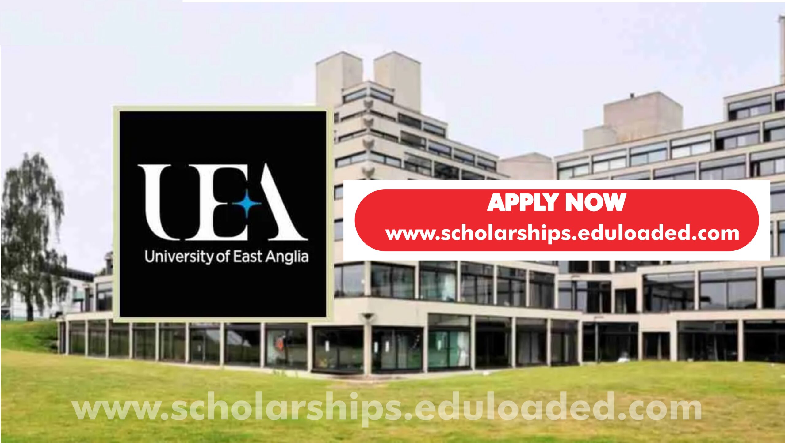 Allan and Nesta Ferguson Scholarship In UK 2025